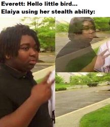 Elaiya stealth HG.jpg